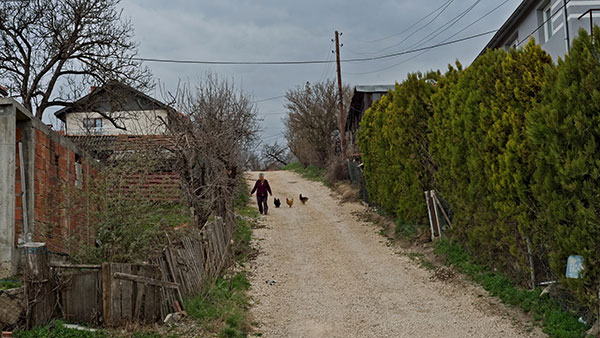 Foto: Predrag Trokicić