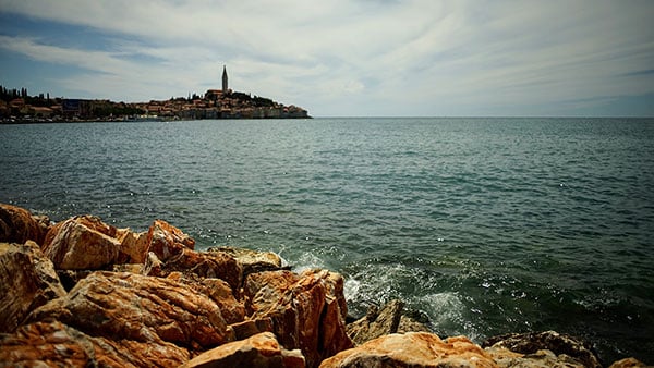 Foto: Neda Radulović-Viswanatha