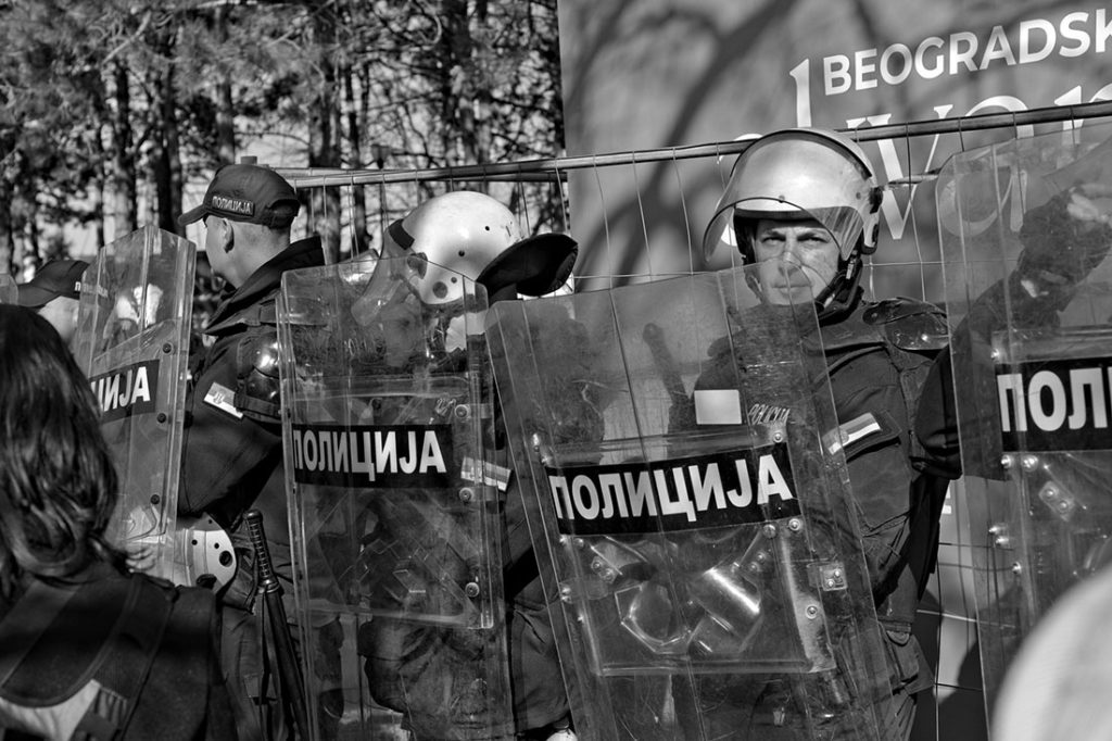 Foto: Predrag Trokicić Foto: Predrag Trokicić