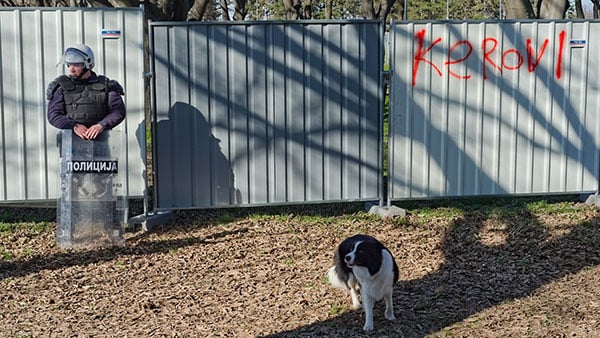 Foto: Predrag Trokicić