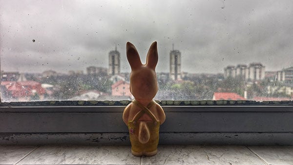 Foto: Predrag Trokicić