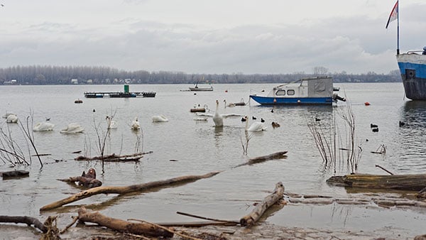 Foto: Predrag Trokicić