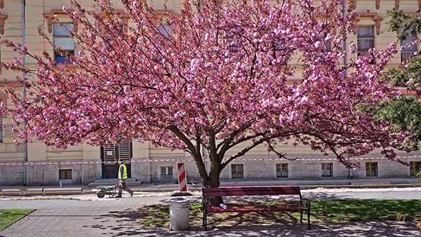 Foto: Predrag Trokicić