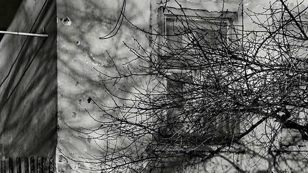 Foto: Predrag Trokicić