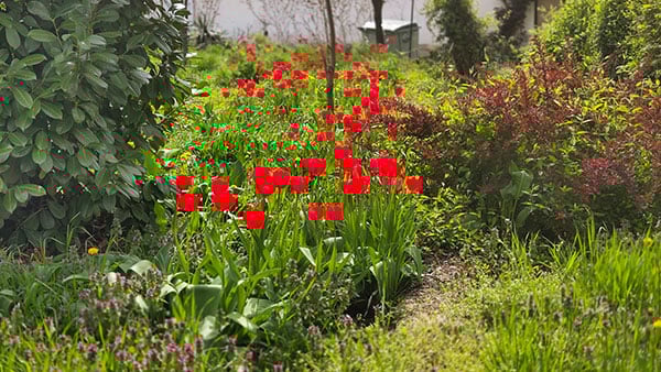 Foto: Predrag Trokicić