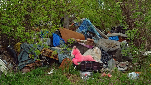 Foto: Predrag Trokicić