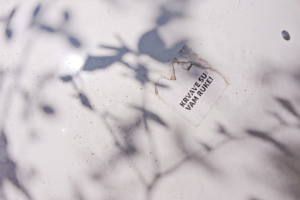 Foto: Predrag Trokicić