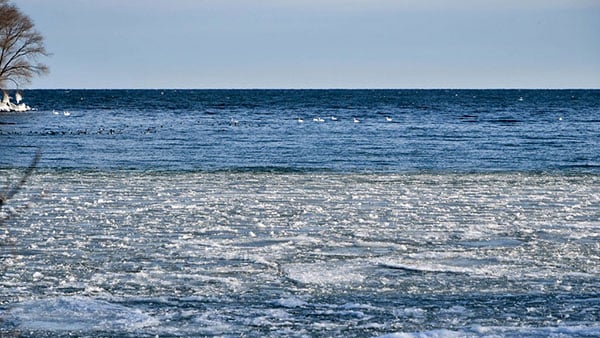 Foto: Rade Vilimonović