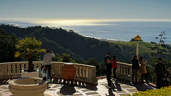 Foto: Neda Radulović-Viswanatha