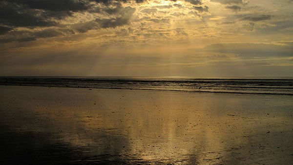 Foto: Neda Radulović-Viswanatha