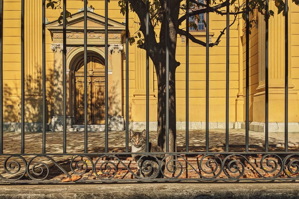 Foto: Predrag Trokicić