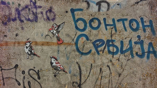 Foto: Predrag Trokicić