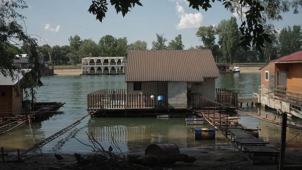 Foto: Predrag Trokicić