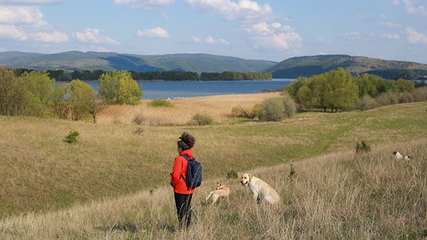 Deliblatska peščara 2023, foto: Jelena Kostić/Wikimedia Commons