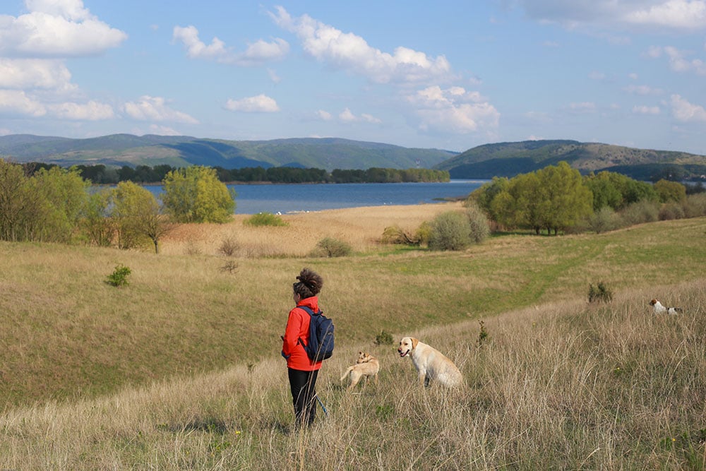 Deliblatska peščara 2023, foto: Jelena Kostić/Wikimedia Commons Deliblatska peščara 2023, foto: Jelena Kostić/Wikimedia Commons