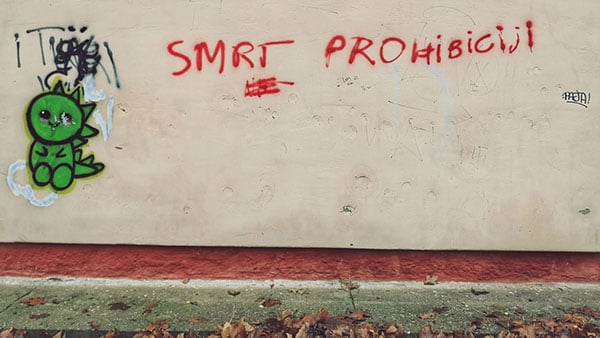 Foto: Predrag Trokicić