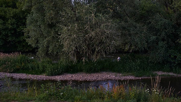 Foto: Predrag Trokicić