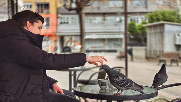 Foto: Predrag Trokicić