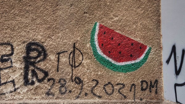 Foto: Predrag Trokicić